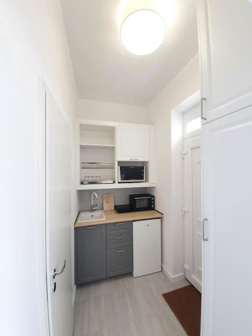 Master Apartment With Air Condition And Separated Rooftop Terrace Budapest Ngoại thất bức ảnh