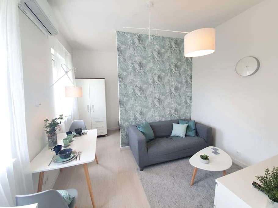Master Apartment With Air Condition And Separated Rooftop Terrace Budapest Ngoại thất bức ảnh