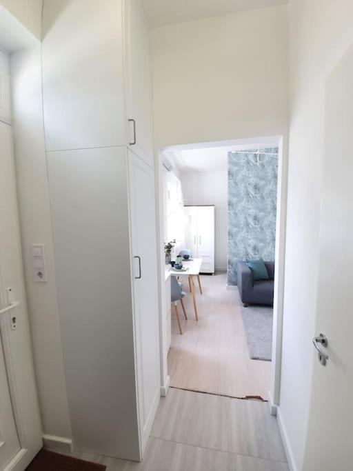 Master Apartment With Air Condition And Separated Rooftop Terrace Budapest Ngoại thất bức ảnh