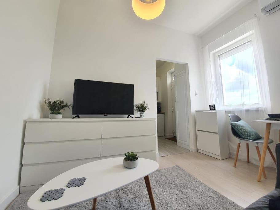 Master Apartment With Air Condition And Separated Rooftop Terrace Budapest Ngoại thất bức ảnh